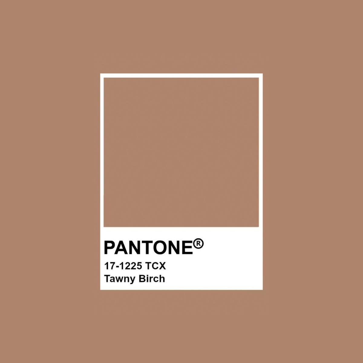 Pantone 秋冬Top 3色！小資女必入手Under $1,000手袋/服飾